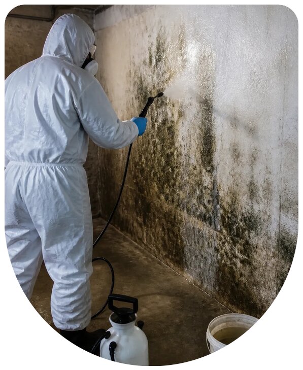Антигрибковая обработка помещений от плесени в Сибае